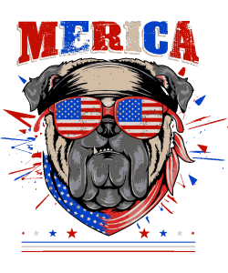 Pugs Rockeros y Patriotas